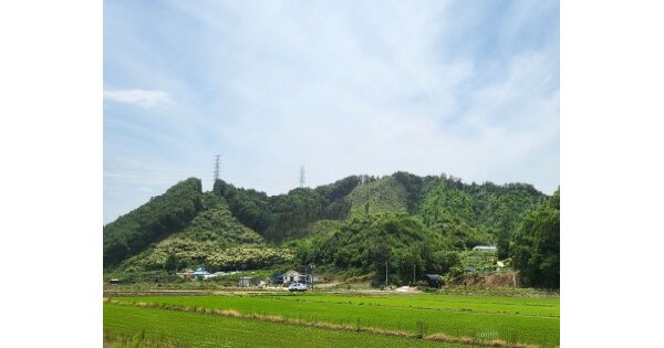 충청북도 충주시 소태면 중청리 OOO 임야 경매 물건 이미지