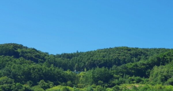 경기도 양평군 양동면 단석리 OOOOOO 임야 경매 물건 이미지