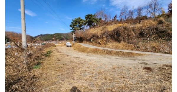 경상북도 성주군 금수면 명천리 OOOOO 전 경매 물건 이미지