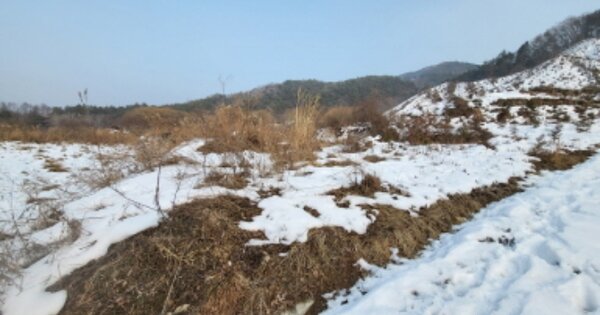 전라북도 임실군 임실읍 정월리 OOOOO O OOO 답 경매 물건 이미지