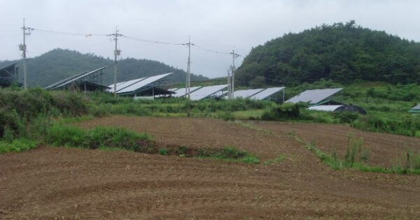전라남도 진도군 임회면 명슬리 OOO 전 경매 물건 이미지