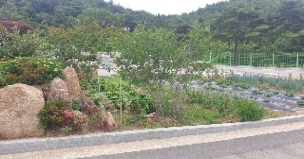 전라남도 광양시 봉강면 부저리 OOO O OOO 잡종지 경매 물건 이미지