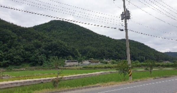 전라남도 광양시 봉강면 구서리 OOOOOO 임야 경매 물건 이미지