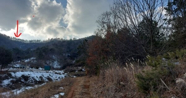 전라남도 무안군 일로읍 감돈리 OOOO 임야 경매 물건 이미지