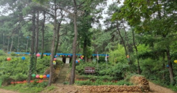 경기도 안산시 상록구 월피동 OOOOO 임야 경매 물건 이미지