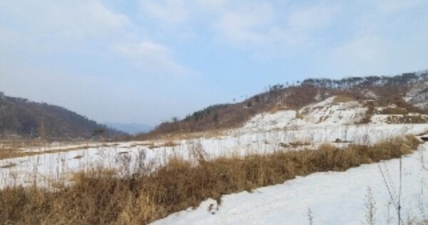충청북도 괴산군 청안면 부흥리 OOOOO 임야 경매 물건 이미지