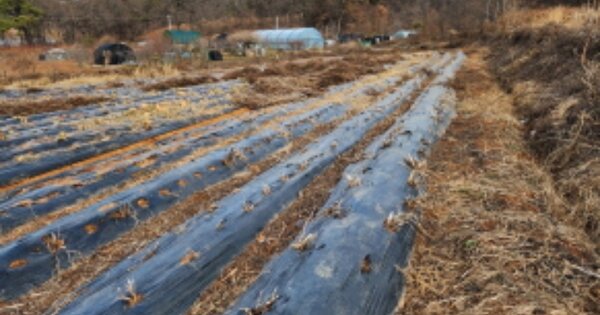 경기도 시흥시 안현동 OOOOO 전 경매 물건 이미지