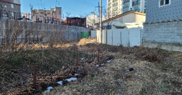 전라남도 영광군 영광읍 단주리 OOOOOO 답 경매 물건 이미지