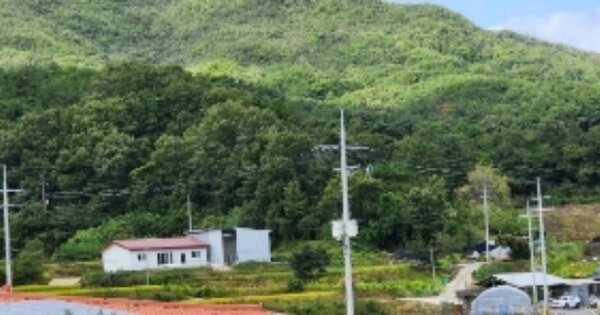 경상북도 안동시 서후면 성곡리 OOO 임야 경매 물건 이미지