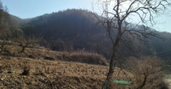 경상북도 봉화군 상운면 문촌리 OOO 임야 경매 물건 이미지