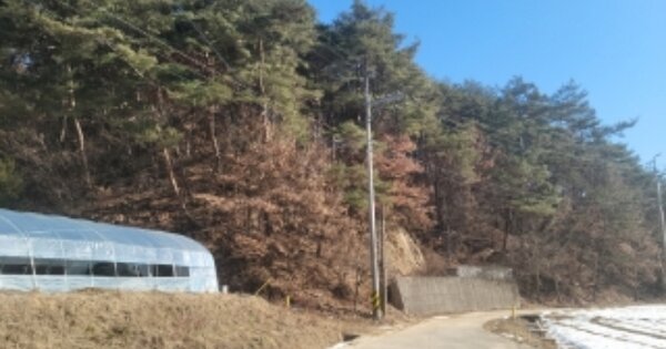 경상북도 봉화군 상운면 하눌리 OOOO 임야 경매 물건 이미지