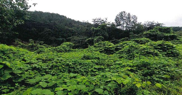 경상남도 함안군 군북면 박곡리 OO 전 경매 물건 이미지