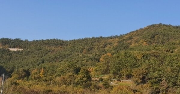 경상남도 창원시 마산합포구 구산면 옥계리 OOOOOO 임야 경매 물건 이미지