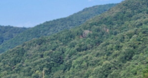 울산광역시 울주군 범서읍 사연리 OOOOO 임야 경매 물건 이미지