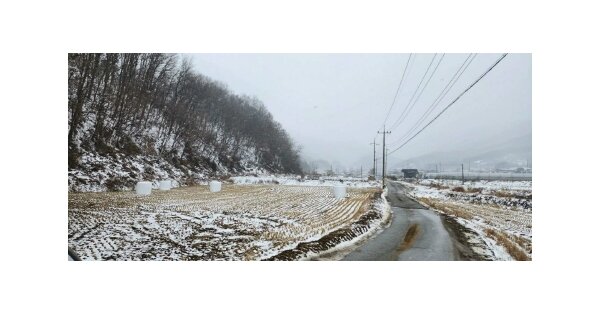 충청남도 천안시 동남구 광덕면 무학리 OOOOO 임야 경매 물건 이미지