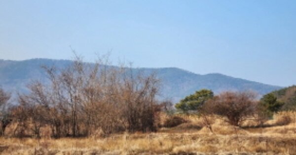 울산광역시 울주군 웅촌면 검단리 OOOO 전 경매 물건 이미지