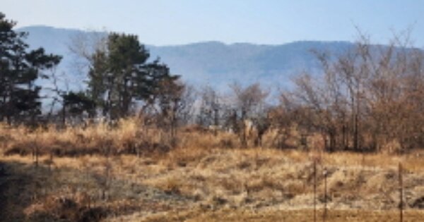 울산광역시 울주군 웅촌면 검단리 OOOO 전 경매 물건 이미지