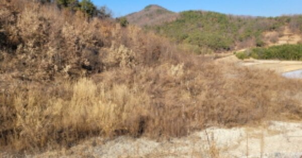 경상북도 청도군 이서면 대전리 OOO 전 경매 물건 이미지