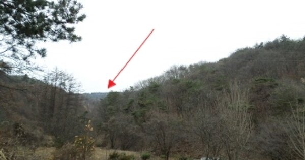 강원도 원주시 호저면 고산리 OOOO 임야 경매 물건 이미지