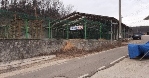 인천광역시 강화군 선원면 연리 OOO 동물 및 식물 관련시설 경매 물건 이미지