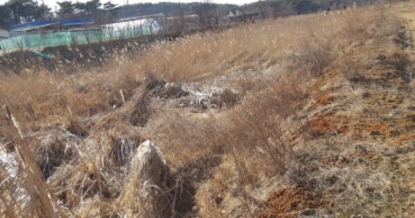 충청남도 당진시 송악읍 월곡리 OOOO O OOO 답 경매 물건 이미지