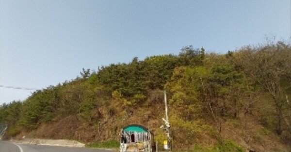 충청남도 청양군 화성면 신정리 OOOOO 임야 경매 물건 이미지