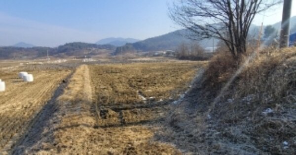 충청북도 괴산군 청천면 귀만리 OOO 답 경매 물건 이미지