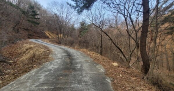 경기도 안성시 죽산면 칠장리 OOOOOO 임야 경매 물건 이미지