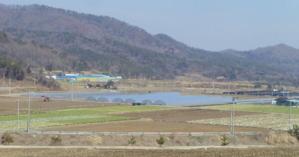 전라남도 진도군 고군면 오산리 OOOOOO O OOO 답 경매 물건 이미지