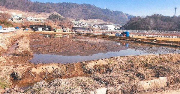 경상남도 창원시 의창구 동읍 남산리 OOOOO 답 경매 물건 이미지