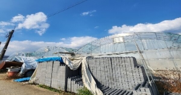 충청북도 옥천군 군서면 은행리 OOOOO 답 경매 물건 이미지