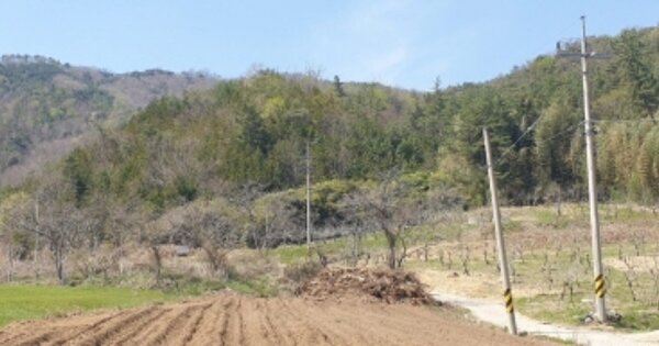 전라남도 보성군 복내면 계산리 OOO 임야 경매 물건 이미지