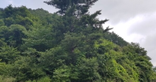 강원도 춘천시 사북면 오탄리 OOO 전 경매 물건 이미지