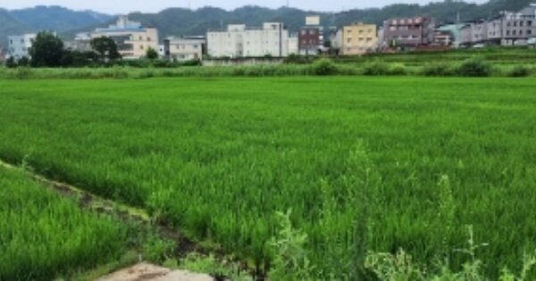 경상북도 안동시 송천동 OOOOO 답 경매 물건 이미지