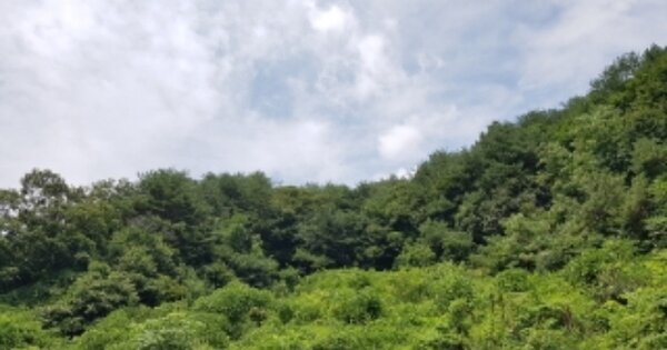강원특별자치도 춘천시 북산면 추곡리 OOOOO 전 경매 물건 이미지
