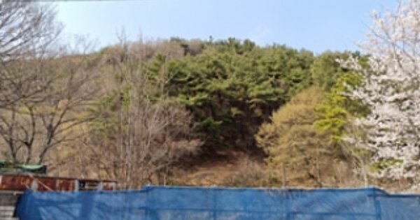 경상남도 창원시 의창구 북면 무곡리 OOOOO 임야 경매 물건 이미지