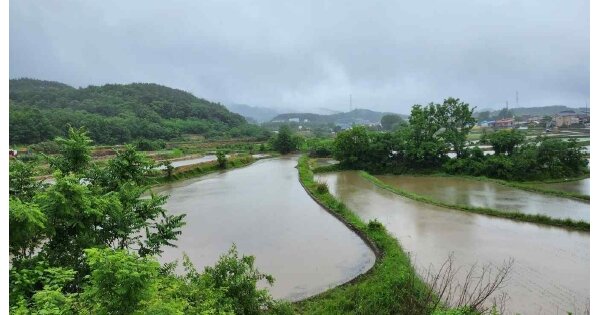 충청남도 보령시 남포면 창동리 OOO O OOO 답 경매 물건 이미지