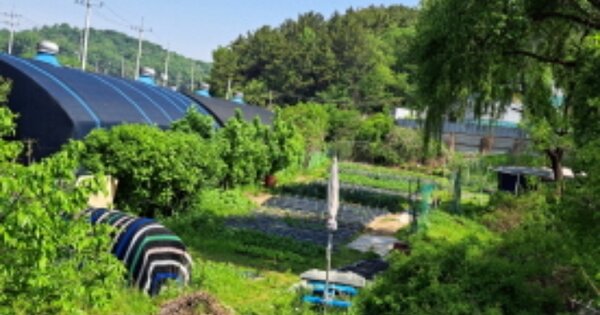 경기도 시흥시 미산동 OOOOO 전 경매 물건 이미지