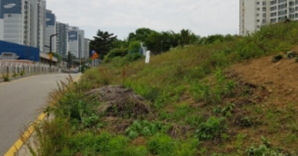 충청남도 당진시 채운동 OOOOO 대지 경매 물건 이미지