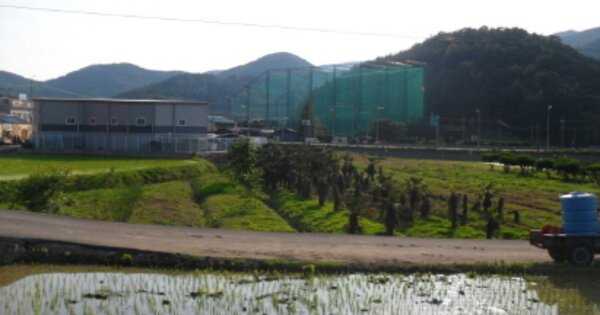 경상남도 남해군 남해읍 평리 OOOO 답 경매 물건 이미지