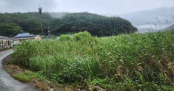 경상남도 고성군 마암면 삼락리 OOOOOO 답 경매 물건 이미지