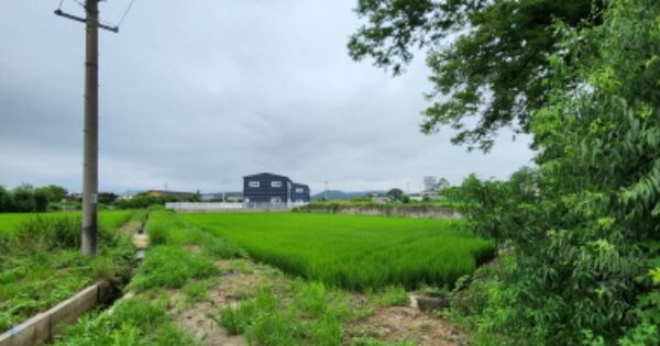 경기도 김포시 하성면 석탄리 OOOOOO 도로 경매 물건 이미지