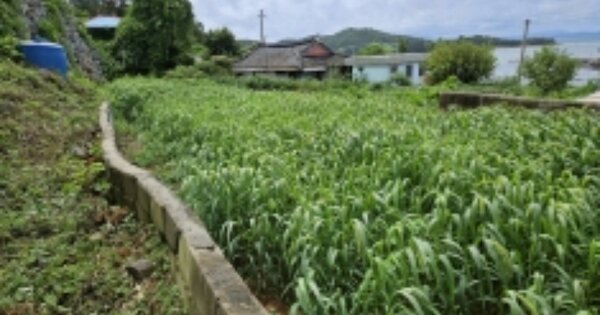 전라남도 여수시 소라면 사곡리 OOOOO O OOO 전 경매 물건 이미지