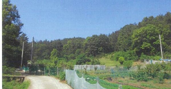 대구광역시 수성구 고모동 OOOO 임야 경매 물건 이미지
