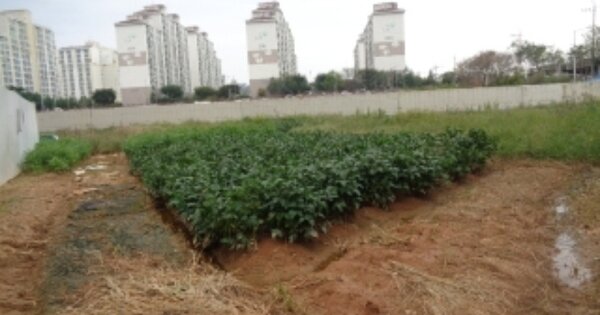 전라북도 김제시 검산동 OOOOO 답 경매 물건 이미지