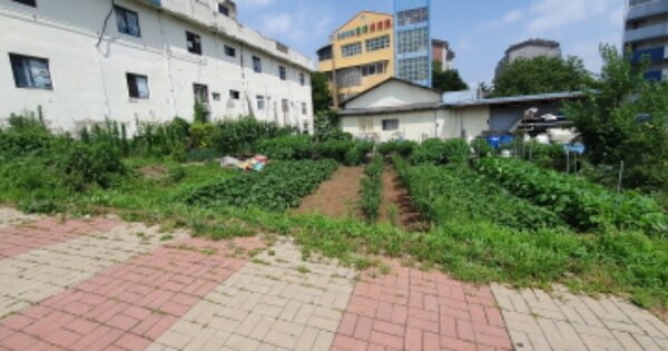 경기도 화성시 송산동 OOOO O OOO 대지 경매 물건 이미지