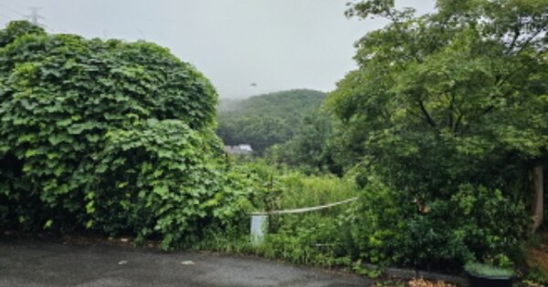 경기도 용인시 수지구 신봉동 OOOOO 대지 경매 물건 이미지
