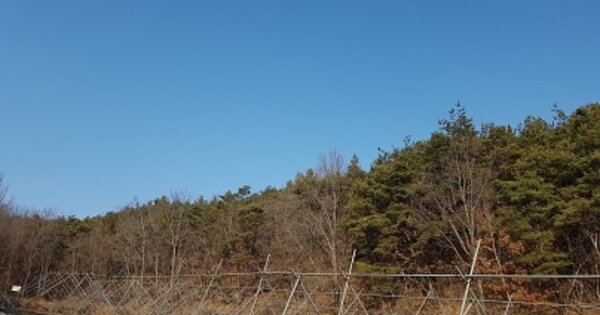 경상북도 의성군 구천면 장국리 OOO 임야 경매 물건 이미지