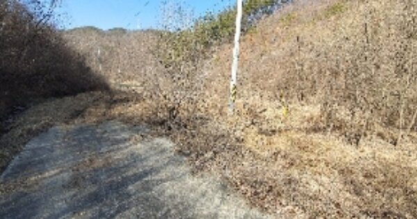 충청북도 옥천군 이원면 용방리 OOOOO O OOO 답 경매 물건 이미지