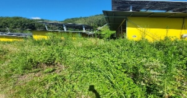 충청북도 영동군 용산면 가곡리 OOOOO 창고시설 경매 물건 이미지